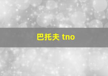 巴托夫 tno